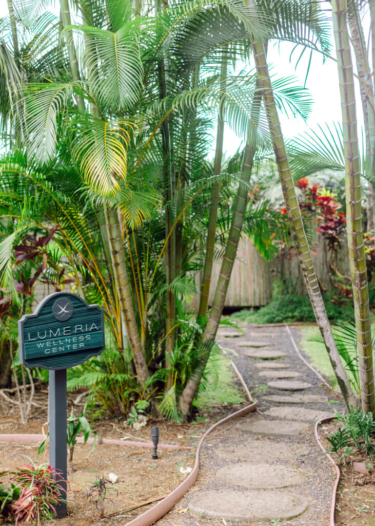 Lumeria Maui Wellness Center Leiohu Cosmetics Retreat
