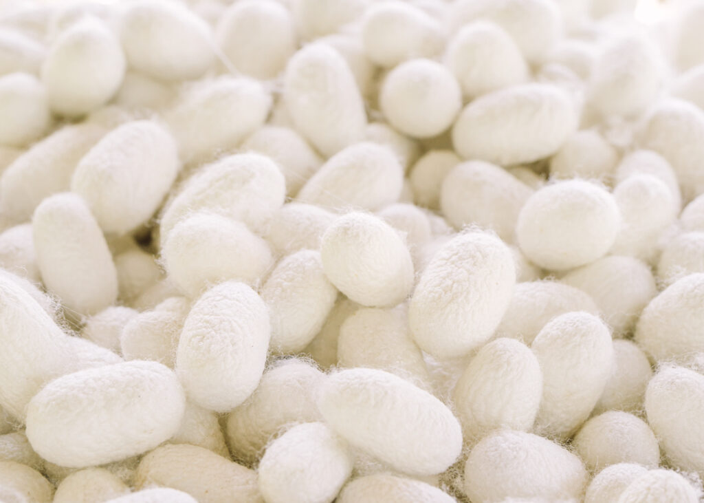 silkworm cocoon extract in japanese beauty products
