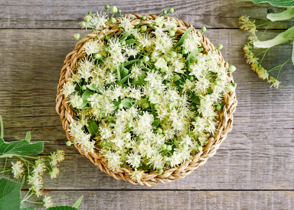 linden flowers vegan beauty products