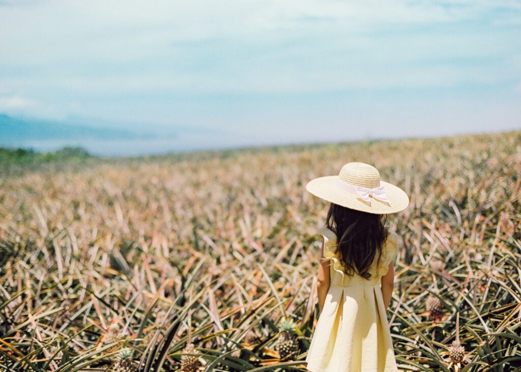 Maui Gold Farm Tour