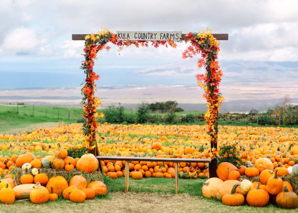 kula country farms maui