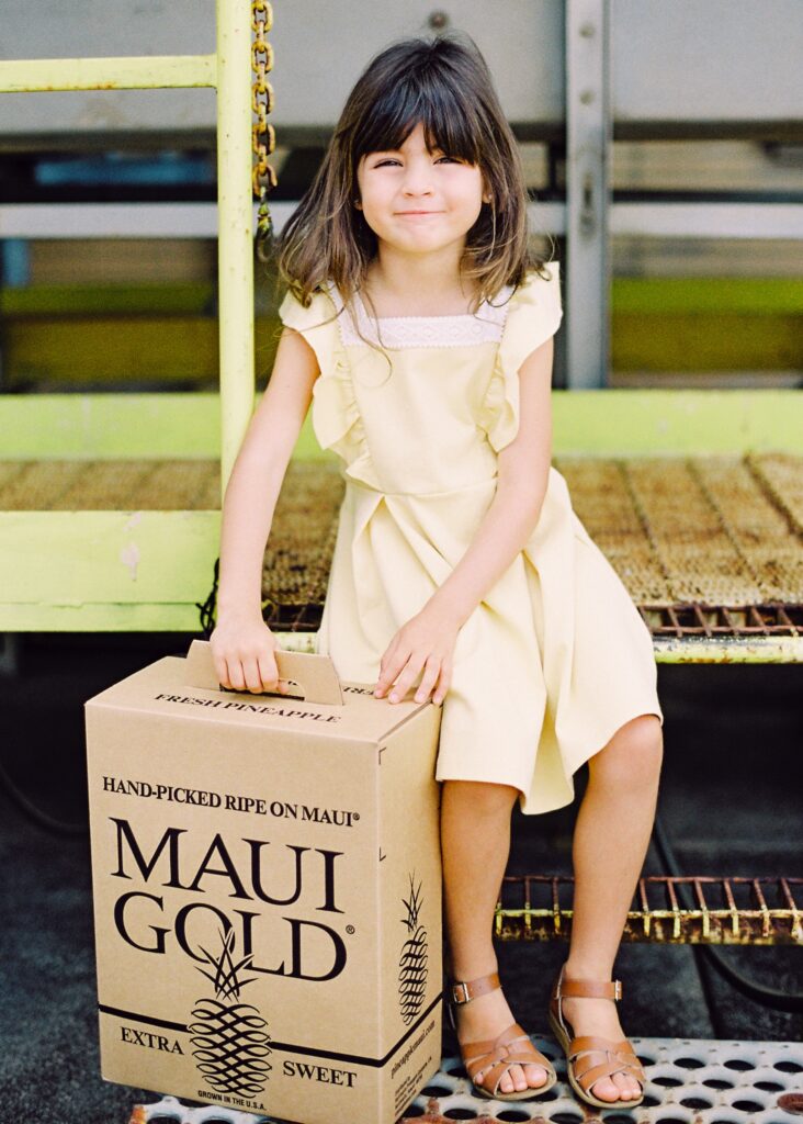 shipping maui gold pineapple