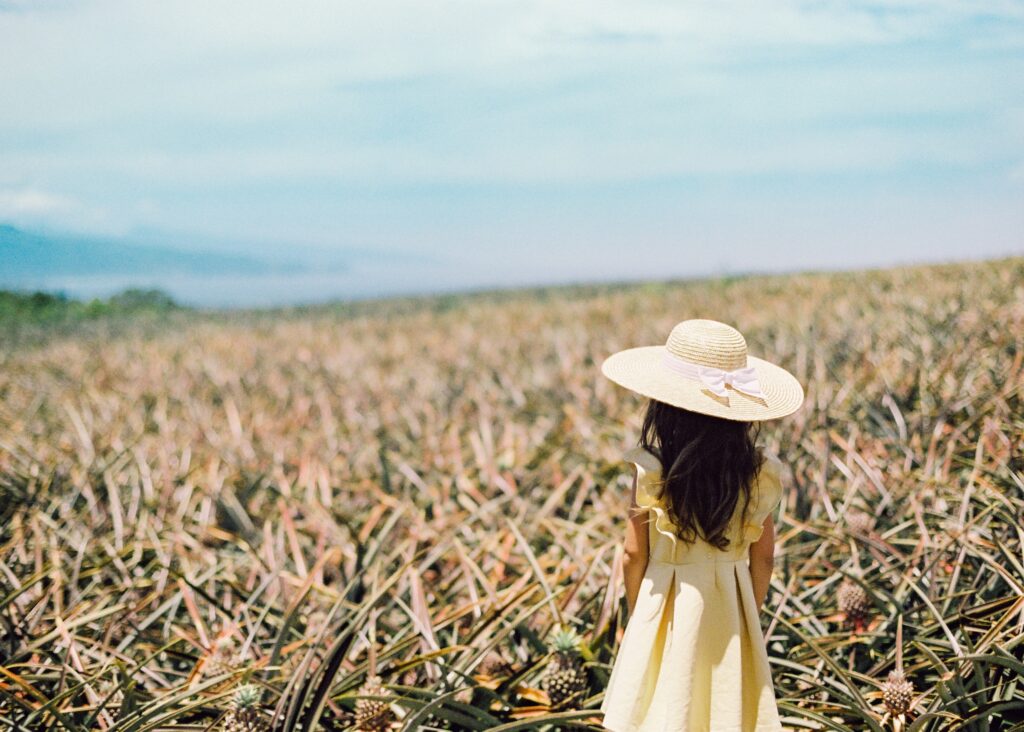 maui gold pineapple farm tour