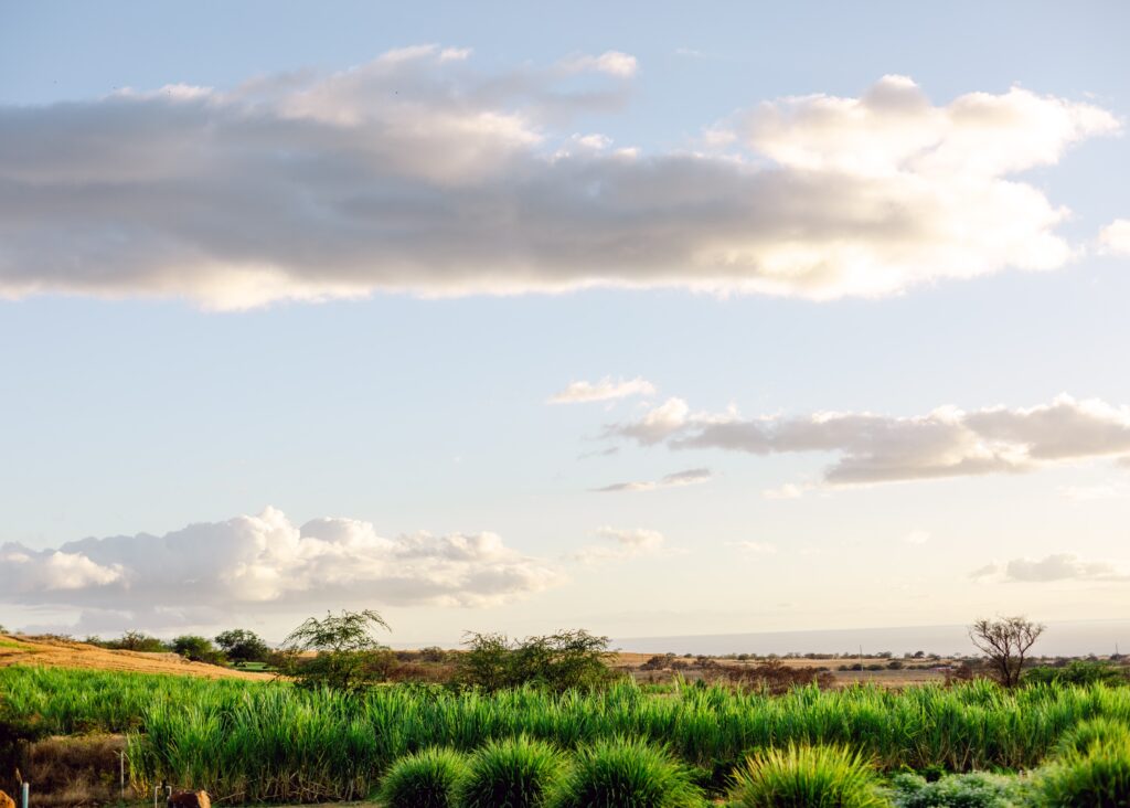 maui ocean vodka sunset views photos