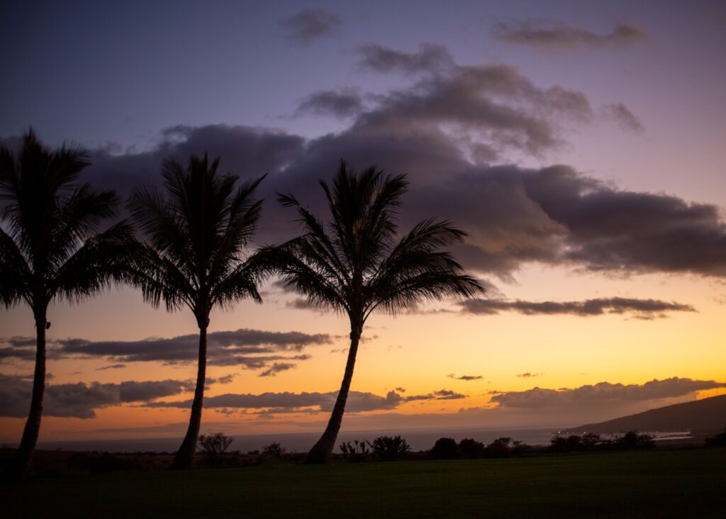 maui ocean vodka sunset views