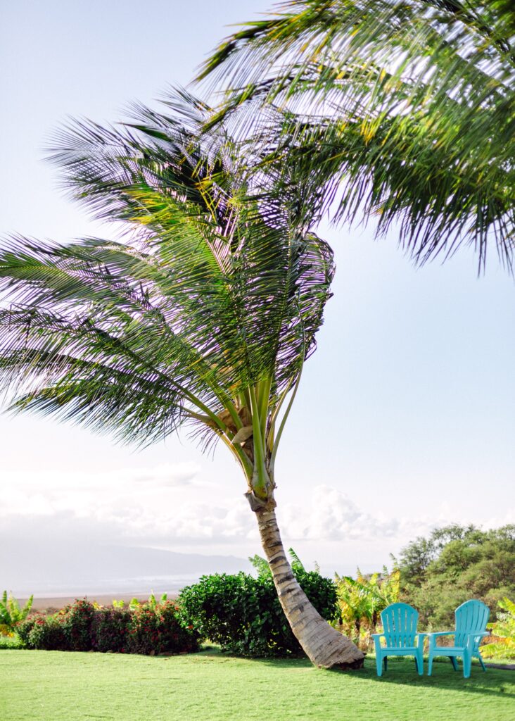 maui ocean vodka photos 